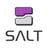 Salt Security Logo